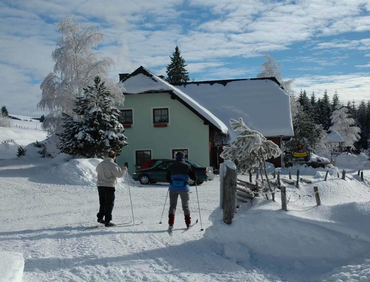 Pension Holzmeister Sankt Kathrein am Offenegg Exterior foto